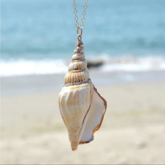 Shell Conch Sea Beach Gold Plated Necklace New In Box 🐚 - Picture 2 of 3